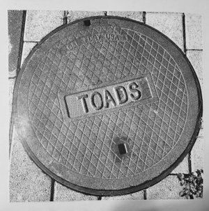 TOADS - ST